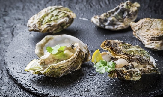 Zinc in oysters cures acne.