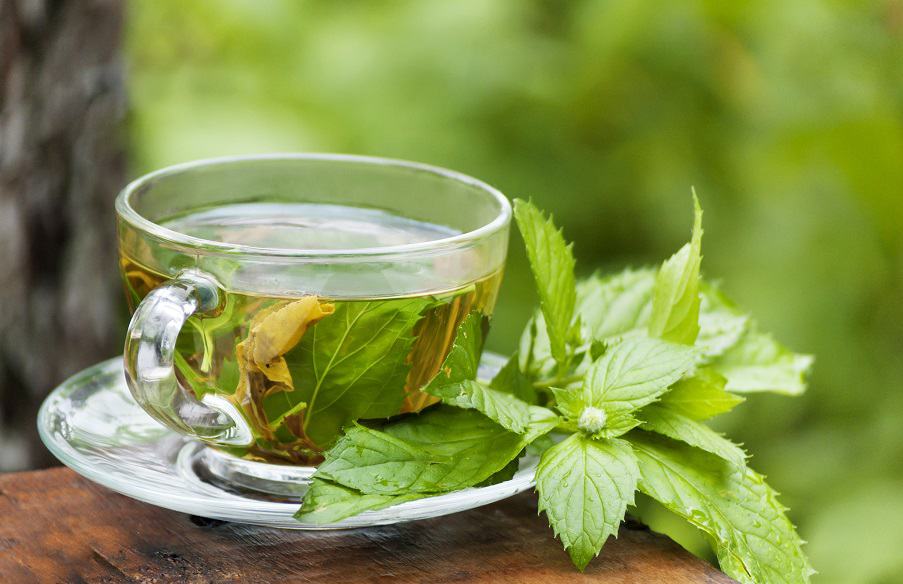 Why spearmint tea cures acne and oily skin.