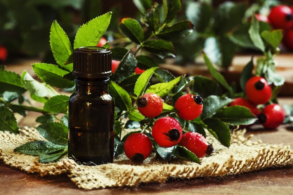 The ultimate rosehip seed oil brands for acne and skincare.
