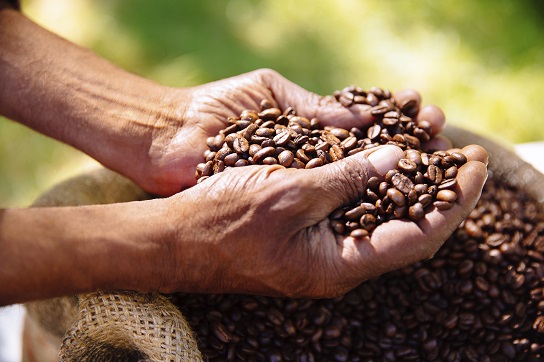 Coffee bean pesticides, fungicides, herbicides and insecticides.