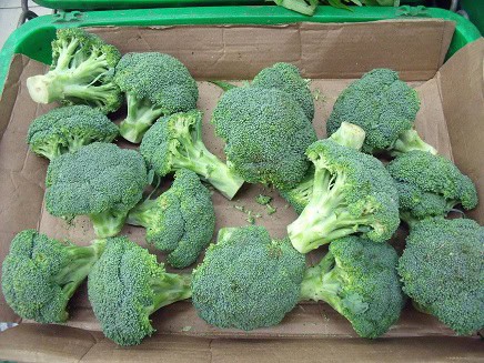 broccoli cabbage sulphoraphane acne powers