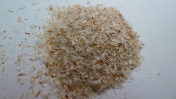 psyllium seed husk acne skincare